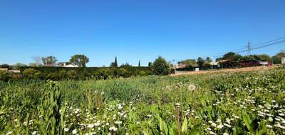 Terrain seul à Le Puy-Sainte-Réparade en Bouches-du-Rhône (13) de 449 m² à vendre au prix de 235000€ - 1