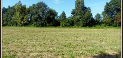 Terrain seul à Sendets en Pyrénées-Atlantiques (64) de 1000 m² à vendre au prix de 135000€ - 3