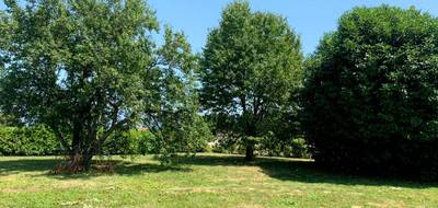 Terrain seul à Chavanod en Haute-Savoie (74) de 1000 m² à vendre au prix de 450000€ - 1