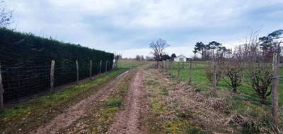 Terrain seul à Montpon-Ménestérol en Dordogne (24) de 7334 m² à vendre au prix de 169600€ - 3