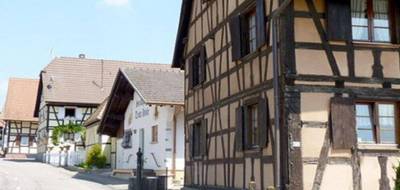 Terrain seul à Steinsoultz en Haut-Rhin (68) de 622 m² à vendre au prix de 118180€ - 3