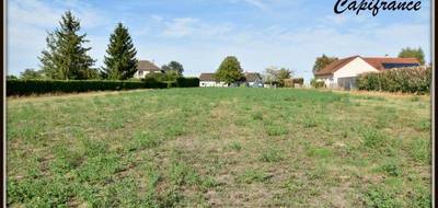 Terrain seul à Dornes en Nièvre (58) de 4368 m² à vendre au prix de 86000€ - 4