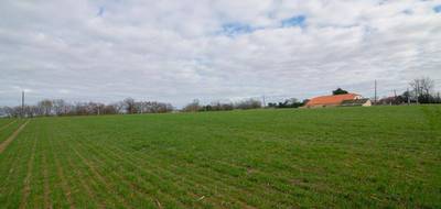 Terrain seul à Sempesserre en Gers (32) de 8000 m² à vendre au prix de 52000€ - 2
