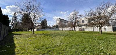 Terrain seul à Ranspach-le-Bas en Haut-Rhin (68) de 904 m² à vendre au prix de 253000€ - 3