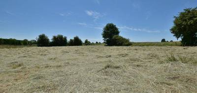 Terrain seul à Bernay en Eure (27) de 3000 m² à vendre au prix de 43900€ - 2