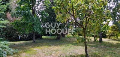 Terrain seul à Seignelay en Yonne (89) de 907 m² à vendre au prix de 39500€ - 3