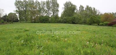 Terrain seul à Wavrans-sur-Ternoise en Pas-de-Calais (62) de 4639 m² à vendre au prix de 65000€ - 2