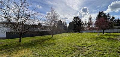 Terrain seul à Ranspach-le-Bas en Haut-Rhin (68) de 904 m² à vendre au prix de 253000€ - 1