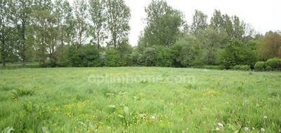 Terrain seul à Wavrans-sur-Ternoise en Pas-de-Calais (62) de 4639 m² à vendre au prix de 65000€ - 3