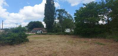 Terrain seul à Allogny en Cher (18) de 1168 m² à vendre au prix de 26500€ - 3