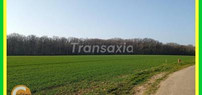 Terrain seul à La Belliole en Yonne (89) de 2440 m² à vendre au prix de 67200€ - 1
