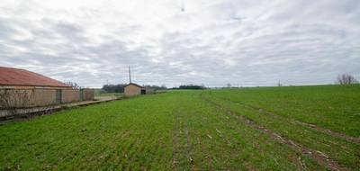 Terrain seul à Sempesserre en Gers (32) de 8000 m² à vendre au prix de 52000€ - 4