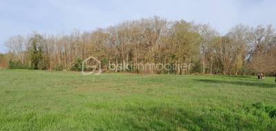 Terrain seul à Charbuy en Yonne (89) de 2600 m² à vendre au prix de 45000€ - 2
