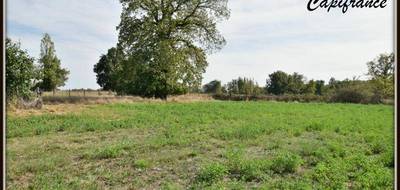 Terrain seul à Dornes en Nièvre (58) de 4368 m² à vendre au prix de 86000€ - 3