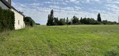 Terrain seul à Vallery en Yonne (89) de 1000 m² à vendre au prix de 36000€ - 3