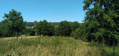 Terrain seul à Loubejac en Dordogne (24) de 8180 m² à vendre au prix de 39000€ - 1