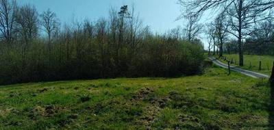 Terrain seul à Loubejac en Dordogne (24) de 8180 m² à vendre au prix de 39000€ - 3