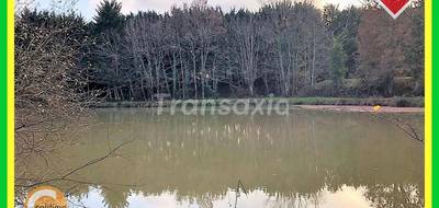 Terrain seul à Beaulieu-sur-Loire en Loiret (45) de 5580 m² à vendre au prix de 66000€ - 4