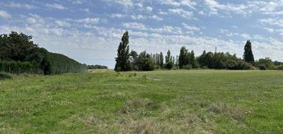 Terrain seul à Vallery en Yonne (89) de 1000 m² à vendre au prix de 36000€ - 2