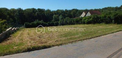 Terrain seul à Lindry en Yonne (89) de 1000 m² à vendre au prix de 35000€ - 1