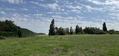 Terrain seul à Vallery en Yonne (89) de 1000 m² à vendre au prix de 36000€ - 4
