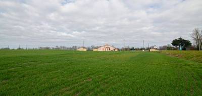 Terrain seul à Sempesserre en Gers (32) de 6000 m² à vendre au prix de 40000€ - 3