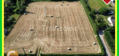 Terrain seul à Torteron en Cher (18) de 3648 m² à vendre au prix de 44000€ - 2