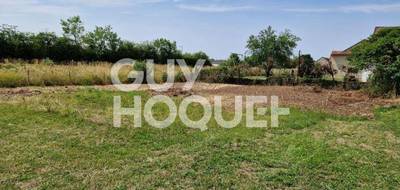 Terrain seul à Monéteau en Yonne (89) de 584 m² à vendre au prix de 34500€ - 1
