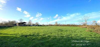 Terrain seul à Lozay en Charente-Maritime (17) de 4482 m² à vendre au prix de 51000€ - 2