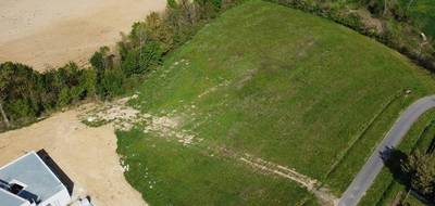 Terrain seul à L'Isle-en-Dodon en Haute-Garonne (31) de 8500 m² à vendre au prix de 55000€ - 3