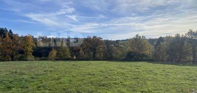 Terrain seul à Rieupeyroux en Aveyron (12) de 9842 m² à vendre au prix de 106500€ - 2