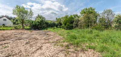 Terrain seul à La Fermeté en Nièvre (58) de 2430 m² à vendre au prix de 41000€ - 4