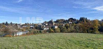 Terrain seul à Rieupeyroux en Aveyron (12) de 9842 m² à vendre au prix de 106500€ - 1