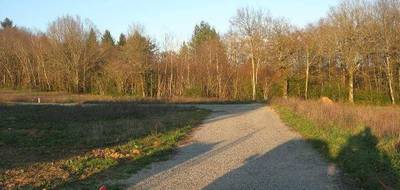 Terrain seul à Verneuil-sur-Vienne en Haute-Vienne (87) de 2400 m² à vendre au prix de 130000€ - 3