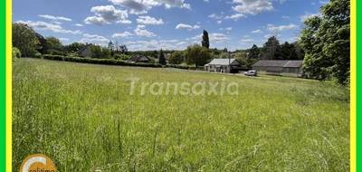 Terrain seul à Châteauneuf-sur-Cher en Cher (18) de 3065 m² à vendre au prix de 32000€ - 4