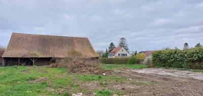 Programme terrain + maison à Algolsheim en Haut-Rhin (68) de 450 m² à vendre au prix de 291800€ - 3