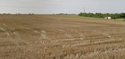 Terrain seul à Patay en Loiret (45) de 700 m² à vendre au prix de 59000€