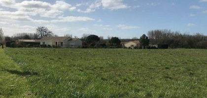 Terrain seul à Bassac en Charente (16) de 2500 m² à vendre au prix de 50000€