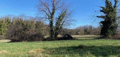 Terrain seul à Creuzier-le-Vieux en Allier (03) de 1000 m² à vendre au prix de 70000€