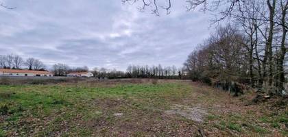 Terrain seul à Veuzain-sur-Loire en Loir-et-Cher (41) de 1200 m² à vendre au prix de 45000€