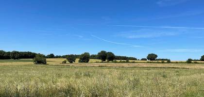 Terrain seul à Ribérac en Dordogne (24) de 2375 m² à vendre au prix de 37000€