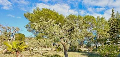 Terrain seul à La Roquebrussanne en Var (83) de 1000 m² à vendre au prix de 139000€
