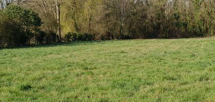 Terrain seul à Pommeuse en Seine-et-Marne (77) de 771 m² à vendre au prix de 108000€
