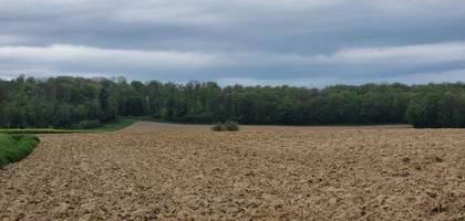 Terrain seul à Carspach en Haut-Rhin (68) de 5630 m² à vendre au prix de 101340€