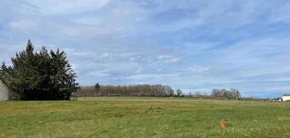 Terrain seul à Vernou-en-Sologne en Loir-et-Cher (41) de 3024 m² à vendre au prix de 33990€