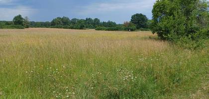 Terrain seul à Bussac-Forêt en Charente-Maritime (17) de 1020 m² à vendre au prix de 30000€