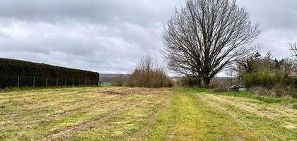 Terrain seul à Veuzain-sur-Loire en Loir-et-Cher (41) de 3700 m² à vendre au prix de 65000€