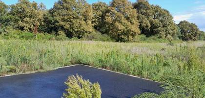 Terrain seul à Cissac-Médoc en Gironde (33) de 650 m² à vendre au prix de 49000€