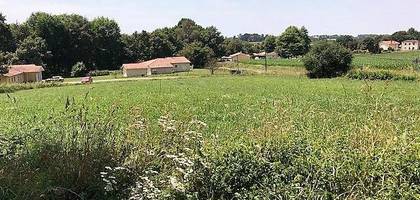 Terrain seul à Coudures en Landes (40) de 1745 m² à vendre au prix de 28000€