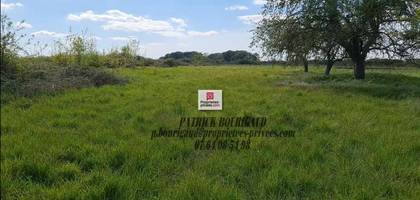 Terrain seul à Poulaines en Indre (36) de 20570 m² à vendre au prix de 103500€